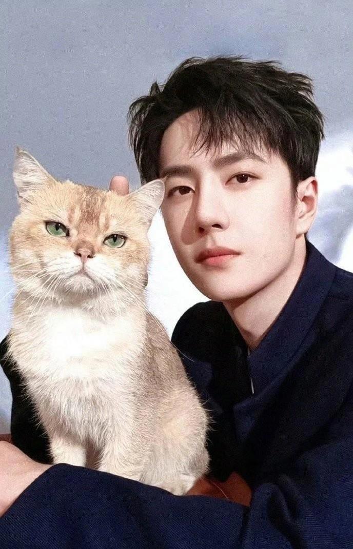 他用实际行, 观众都是女